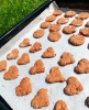 RECEPT: DOMÁCE MINI BUCHTIČKY PRE PSÍKOV