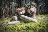 RECENZE: Corina a Hope doporučují: Drůbeží s rýží