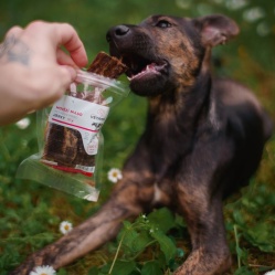 Sušené hovädzie mäso JERKY