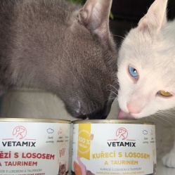 Hovězí s lososem a taurinem 400 g