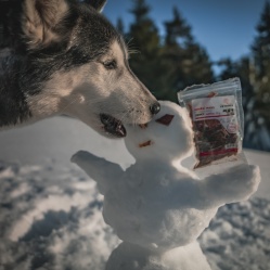 Sušené hovězí maso JERKY