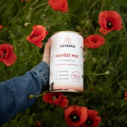 Hovězí mix 850 g