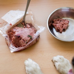 BARF morčací 0,5 kg