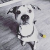 JAK MI ADOPCE ZMĚNILA ŽIVOT - ČÁST 9.