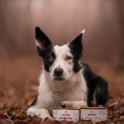 Hovädzí mix v konzerve 1280 g