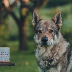 Hovädzie paté 850 g