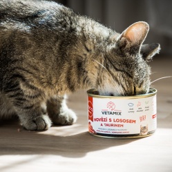 Hovädzie s lososom a taurínom 400 g