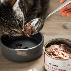 Hovädzie s lososom a taurínom 400 g