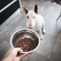 Hovädzia pečienka 1 kg