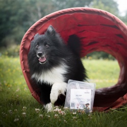 Hovädzie kúsky 1 kg