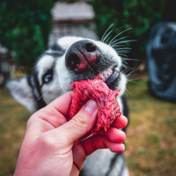 Hovädzie kúsky 1 kg