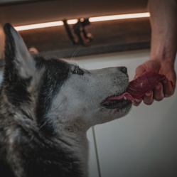 Hovädzie kusové 1 kg