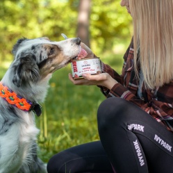 Hovädzie vo vlastnej šťave 400 g