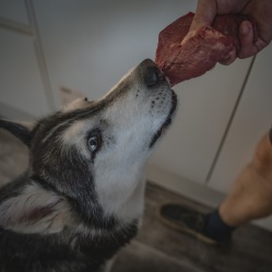 Hovězí kusové 1 kg