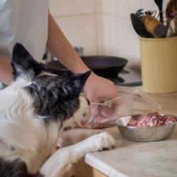 Jahňacie mäso s kosťou 1 kg