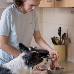 Jahňacie mäso s kosťou 1 kg