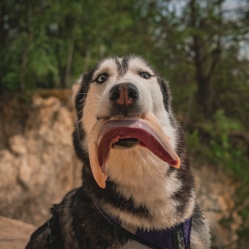 Kačacie prsia s kožou 1 kg