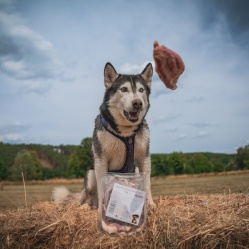 Kačacie prsia s kožou 1 kg