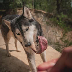 Kačacie prsia s kožou 1 kg