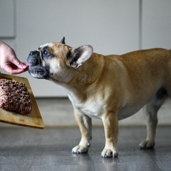 Prvý príkrm - hovädzie najemno mleté 1 kg