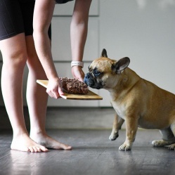 Prvý príkrm - hovädzie najemno mleté 1 kg