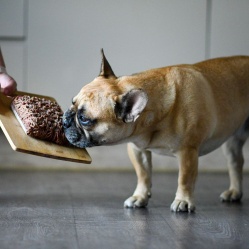 Prvý príkrm - hovädzie najemno mleté 1 kg