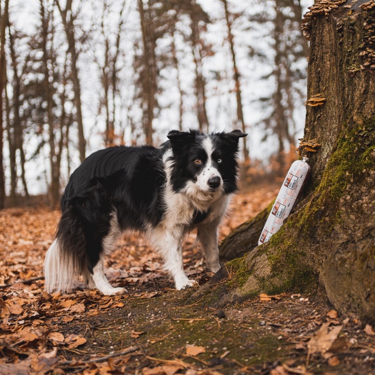 Recenze: Hovězí maso hrubomleté