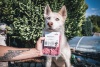 RECENZIA: Corina a Hope odporúčajú Hovädzie mäso mleté