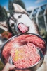 RECENZIA: Corina a Hope odporúčajú Hovädzie mäso mleté