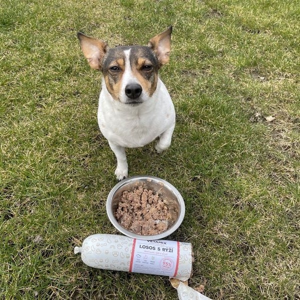 RECENZIA: Ellie odporúča: Saláma lososová s ryžou