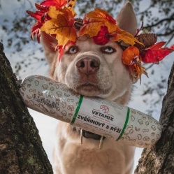 Saláma zverinová s ryžou 850 g