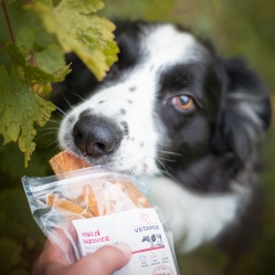 Sušená hovädzia vazovica