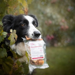 Sušená hovädzia vazovica