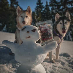 Sušené hovädzie mäso JERKY