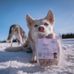 Vepřové kusové 1 kg