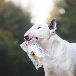 VETAMIX Králičie ucho 4 ks