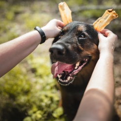 VETAMIX Králičie ucho 4 ks