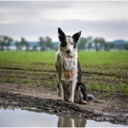 VETAMIX Králičie ucho 4 ks