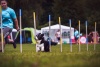 VETAMIX na agility závodech v Rokycanech