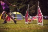 VETAMIX na agility závodech v Rokycanech