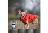 Vetamix vitamíny mobilita pro malé psy