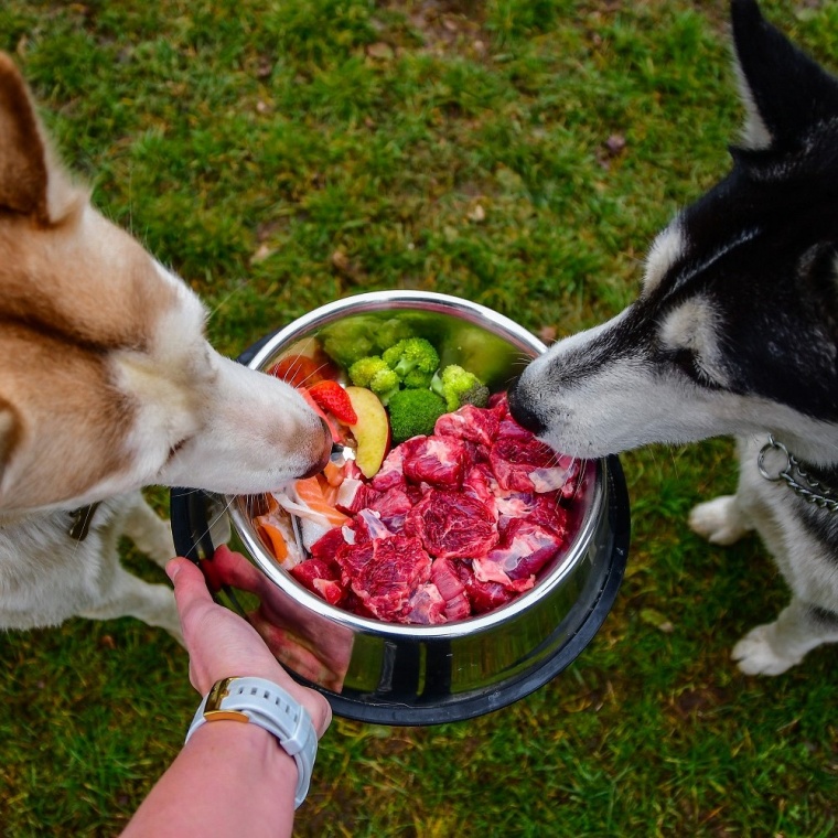 VÝHODY HOVÄDZIEHO MÄSA