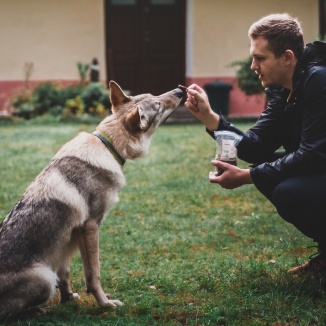 Život s Krakenem: 3. diel - ako cestovať s Krakenom/pokračovanie