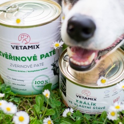 Zvěřinové paté 850 g